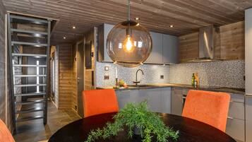 Fridge, oven, dishwasher, electric kettle