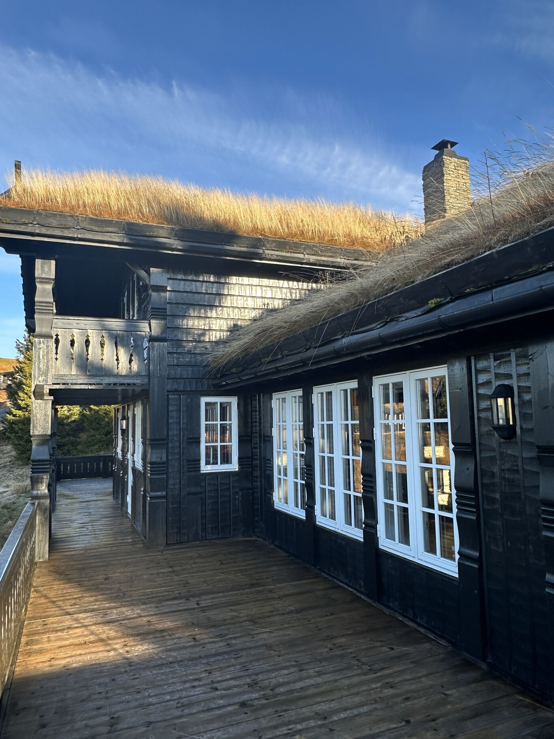 Eksteriør