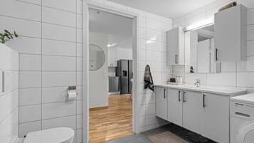 Douche, séchoir à cheveux, serviettes fournies