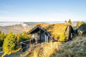 Ulkopuoli