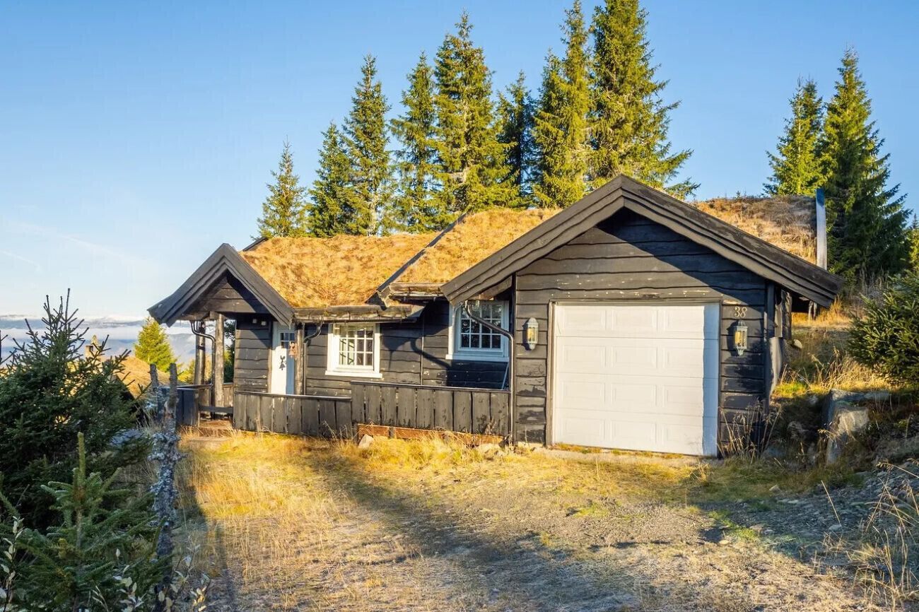 Eksteriør