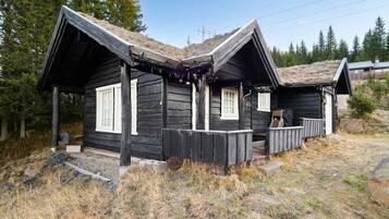 Eksteriør