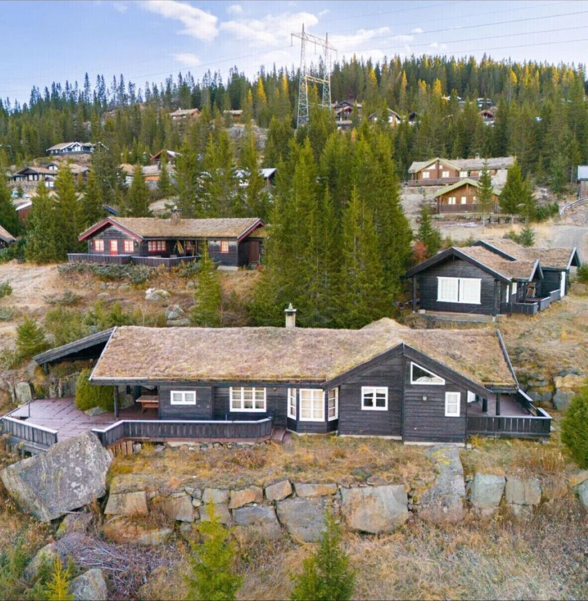 Exteriör
