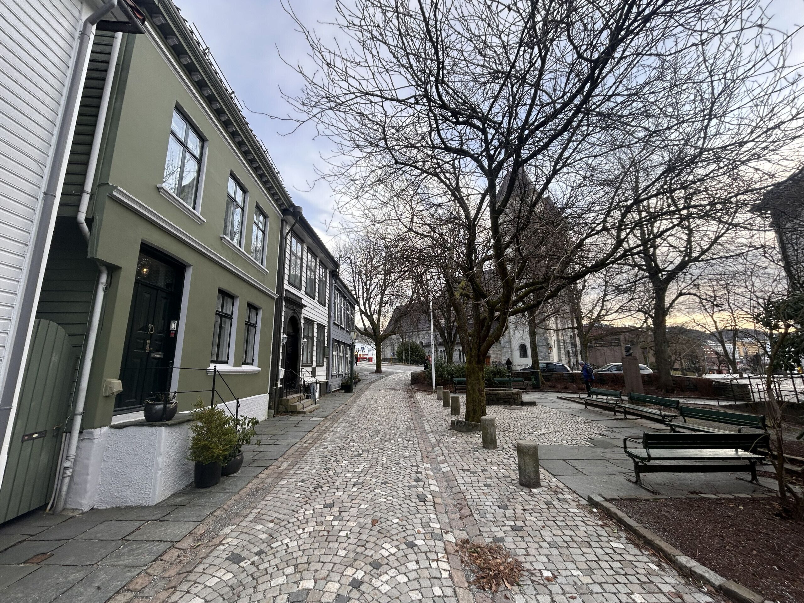 A cobblestone street lined with historic buildings, benches, and trees.