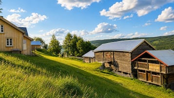 Eksteriør