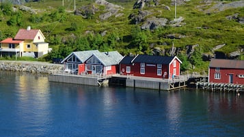 Eksteriør