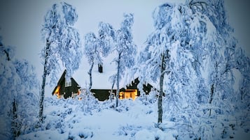 Eksteriør