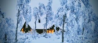 Cosy mountain cabin, Geilo