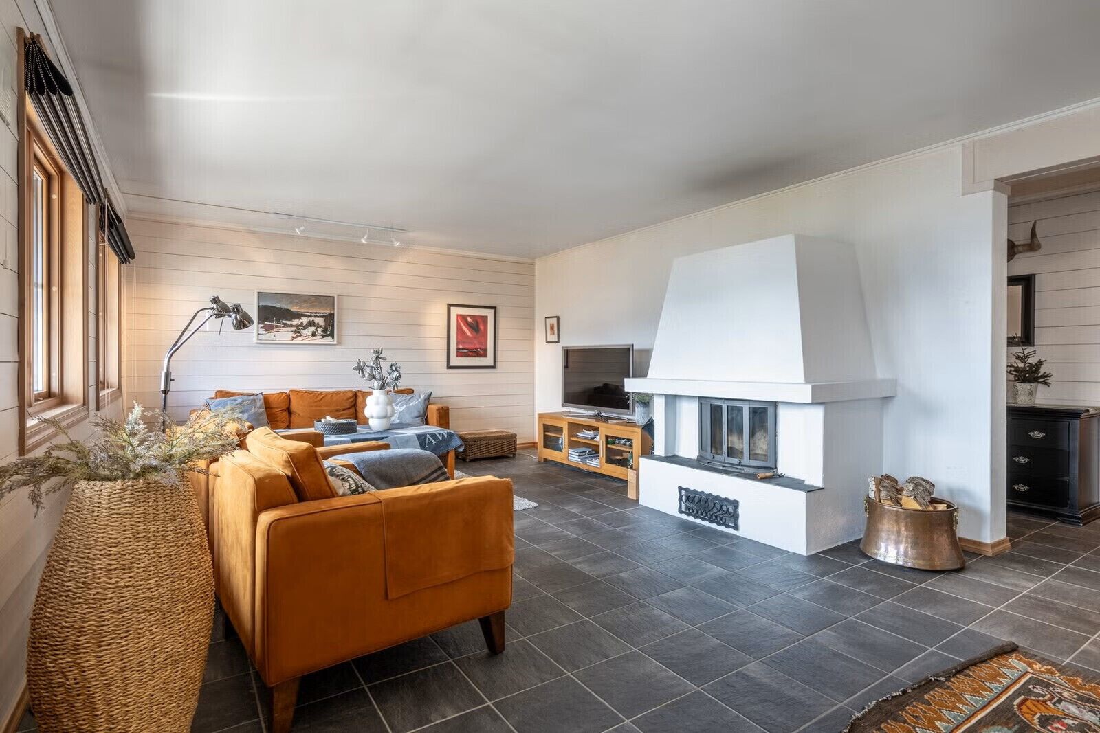 TV, fireplace