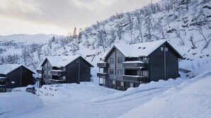 Une rangée de chalets en bois dotés de balcons, se dressant sur fond de montagnes enneigées.