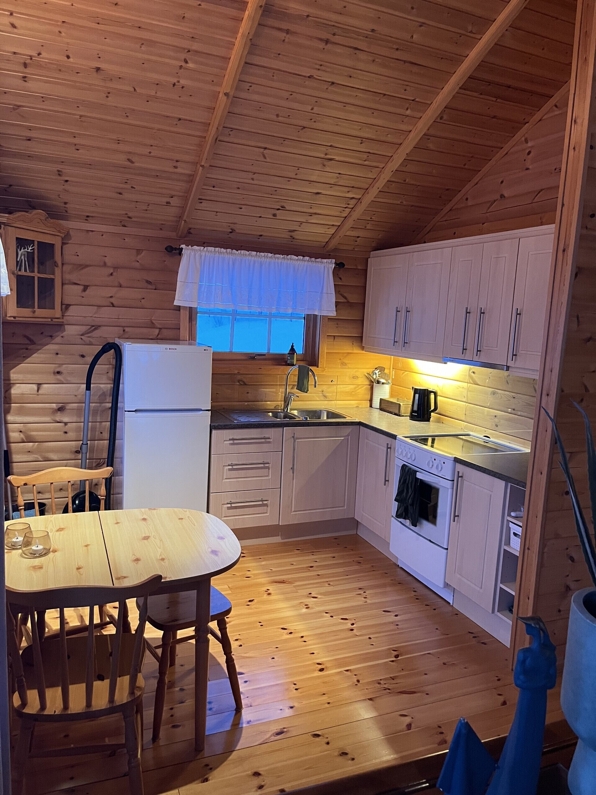 Fridge, oven, electric kettle, cookware/dishes/utensils