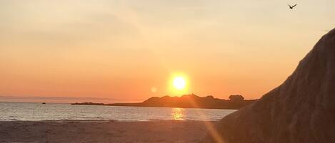 Ranta