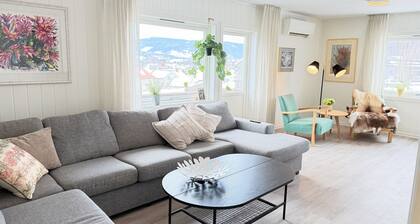 Spacious apartment in Follebu