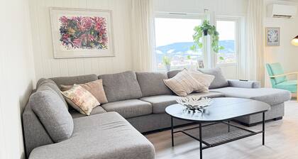 Spacious apartment in Follebu
