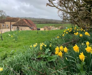 Property grounds - Swallows Nest, Sturminster Newton (Sturminster Newton)