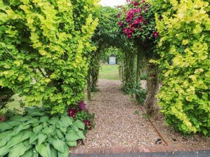 Un sendero en un jardín con borde de ladrillo, rodeado de abundante vegetación y plantas con flores.