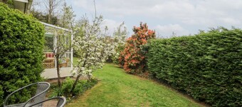 Bryn yr Haf, Lampeter