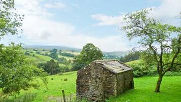 Área da propriedade