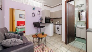 Un espacio habitable compacto con sofá, una pequeña mesa de comedor, una zona de cocina con lavadora y un baño con lavamanos y espejo.