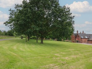 A grassy area with a large tree and a brick building in the background.