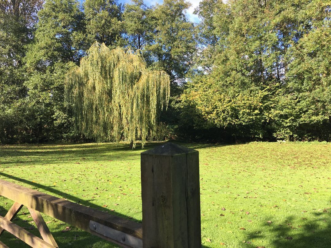 Parco della struttura