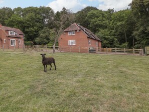 Property grounds - Whitlow Lodge Annex nr Huntley (Gloucester)