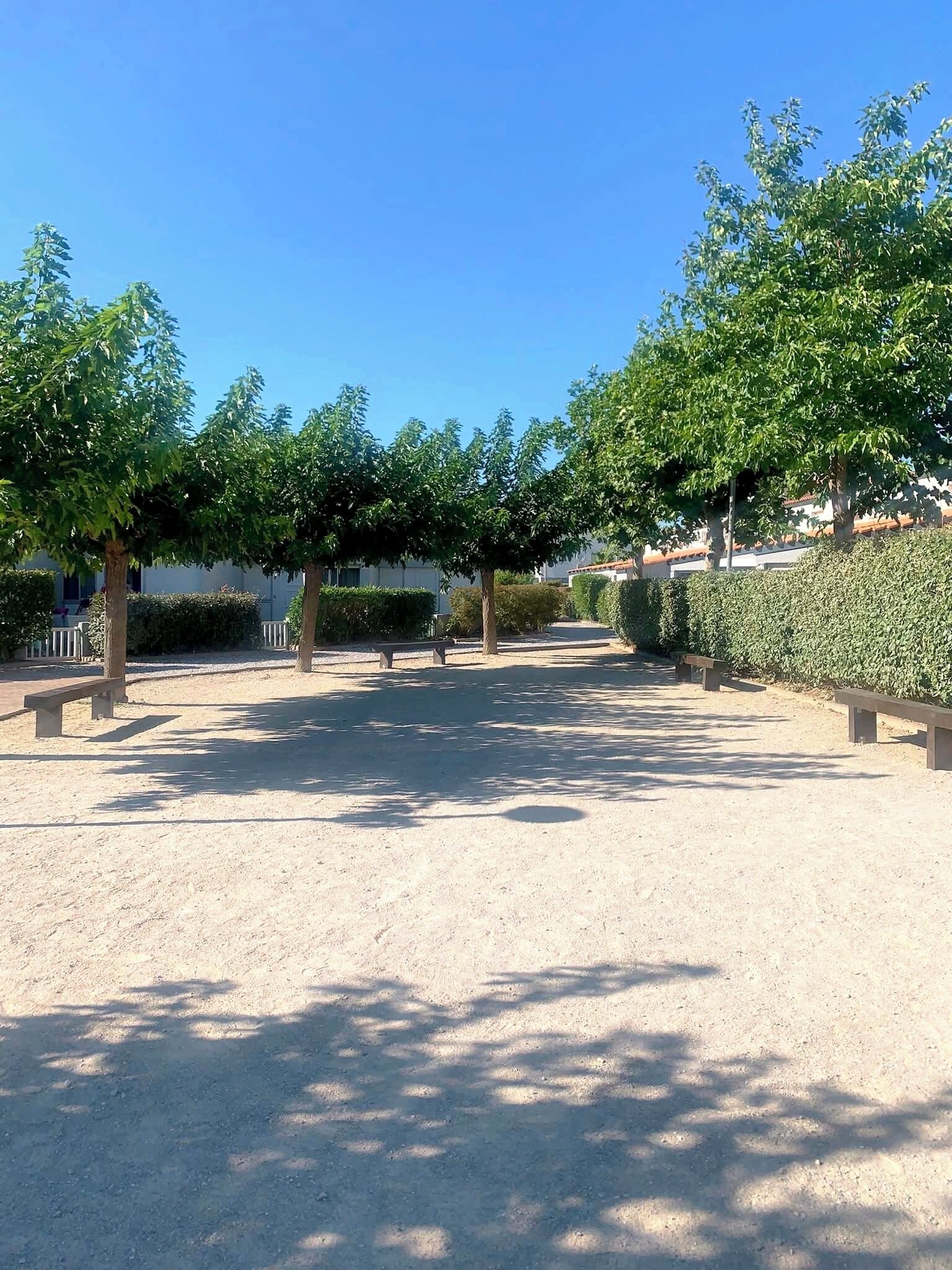 Un espace extérieur agrémenté d’arbres, de bancs et offrant une vue sur un ciel dégagé.