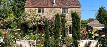 Ham cottage, South Petherton