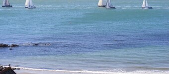 Swifts Retreat in Ventnor Isle