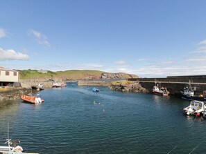 Marina - Near Bank Cottage, St Abbs (Eyemouth)