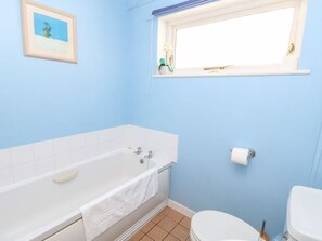 Shower - Swallows: A Charming Retreat in Ventnor (Ventnor)