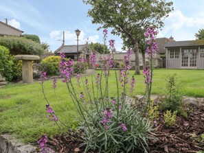 Property grounds - The Banquet House, Rhuddlan (Rhyl)