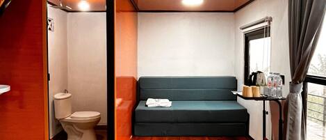 A compact room with a sofa, a small table with items, a window with curtains, and a visible toilet.