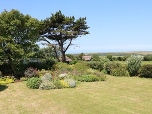 Ein Garten mit einem großen Baum, verschiedenen Sträuchern und Blick ins Grüne.