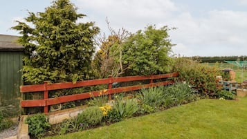 Terrain de l’hébergement