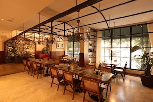 A dining area with multiple tables and chairs, a large window with a view, and a decorative plant.