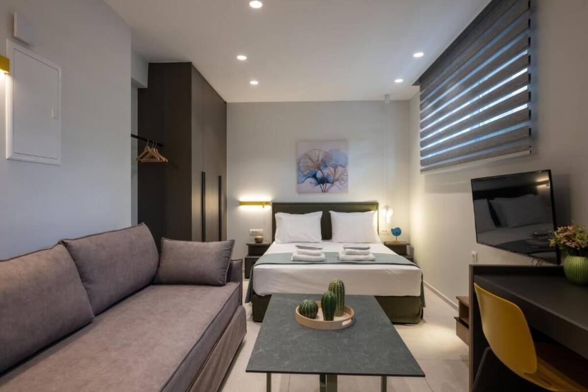 Une chambre d’hôtel moderne, équipée d’un lit, d’un canapé, d’un bureau, d’une télévision et d’un cactus posé sur la table.
