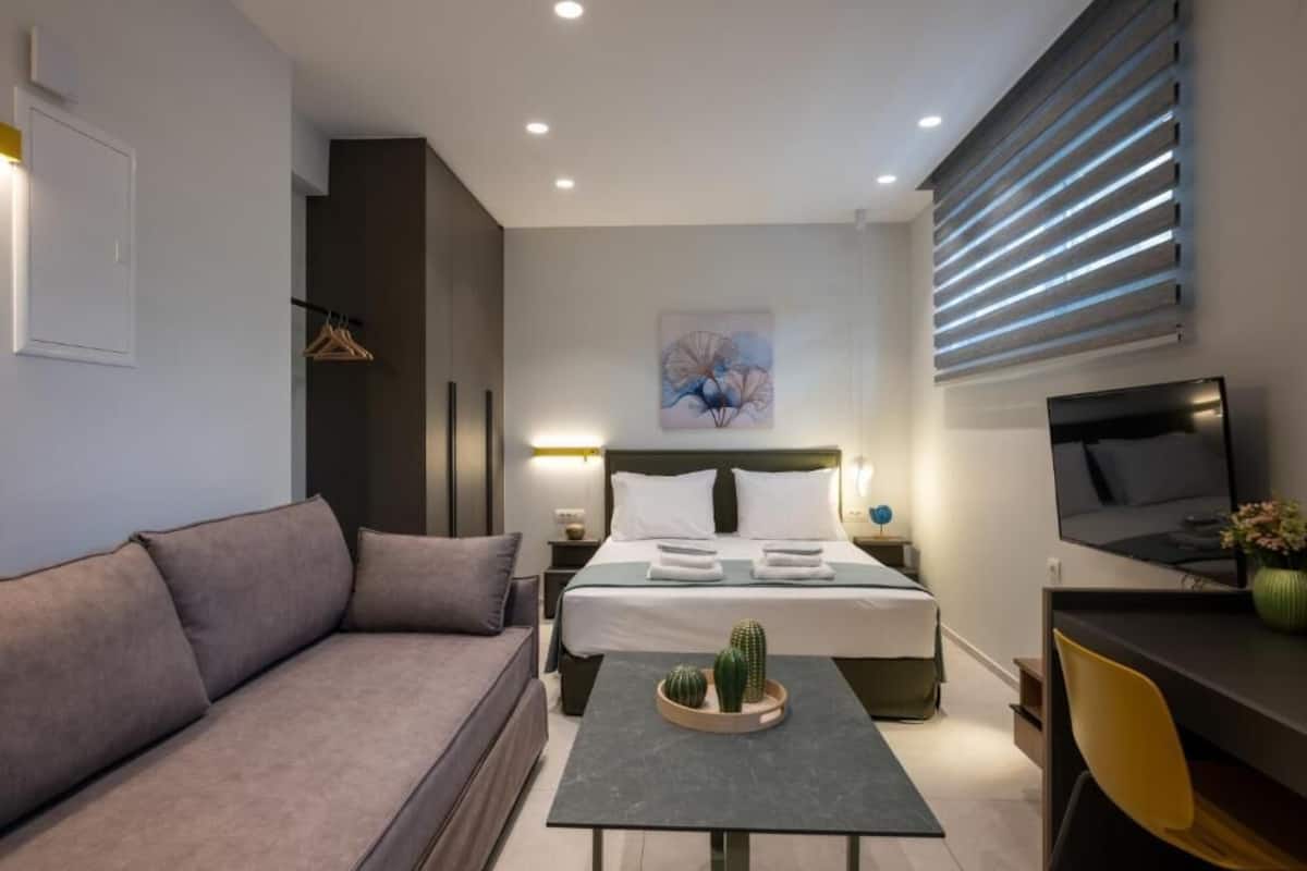 A modern hotel room with a bed, a sofa, a desk, a TV, and a cactus on the table.