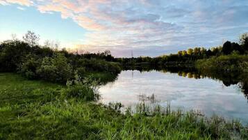 A calm lake surrounded by lush greenery and trees under a partly cloudy sky.