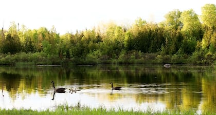 Romantic Oasis: Luxury Glamping Retreat in the Heart of Ontario's Natural Beauty