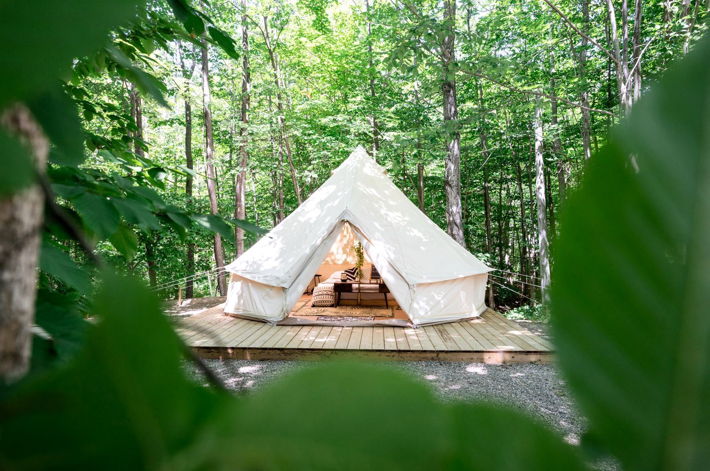 Un hébergement en tente situé dans une forêt, doté d’une terrasse en bois et offrant une vue sur les arbres environnants.