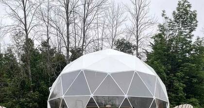 Stylish Glamping Dome with Forest Views near Bruce Peninsula Park in Tobermory, Ontario