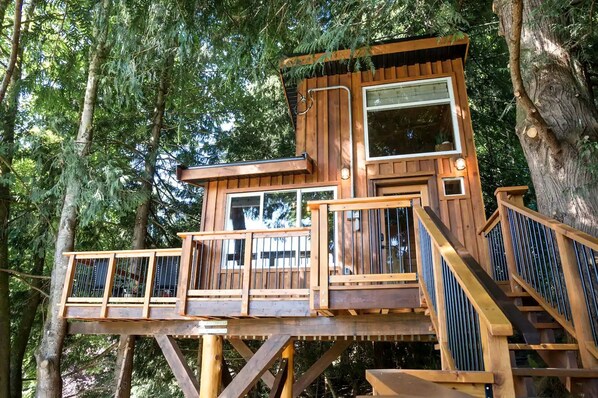 Exterior - Amazing Tree House Rental for Glamping on Vancouver Island, BC (Vancouver Island)