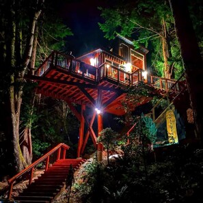 Exterior - Amazing Tree House Rental for Glamping on Vancouver Island, BC (Vancouver Island)