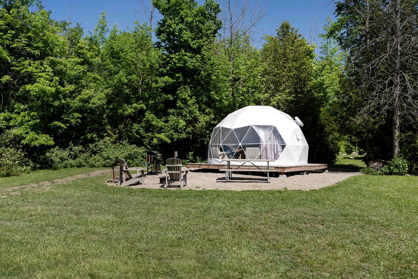 A geodesic dome structure with a covered patio area, surrounded by a grassy field and dense trees.