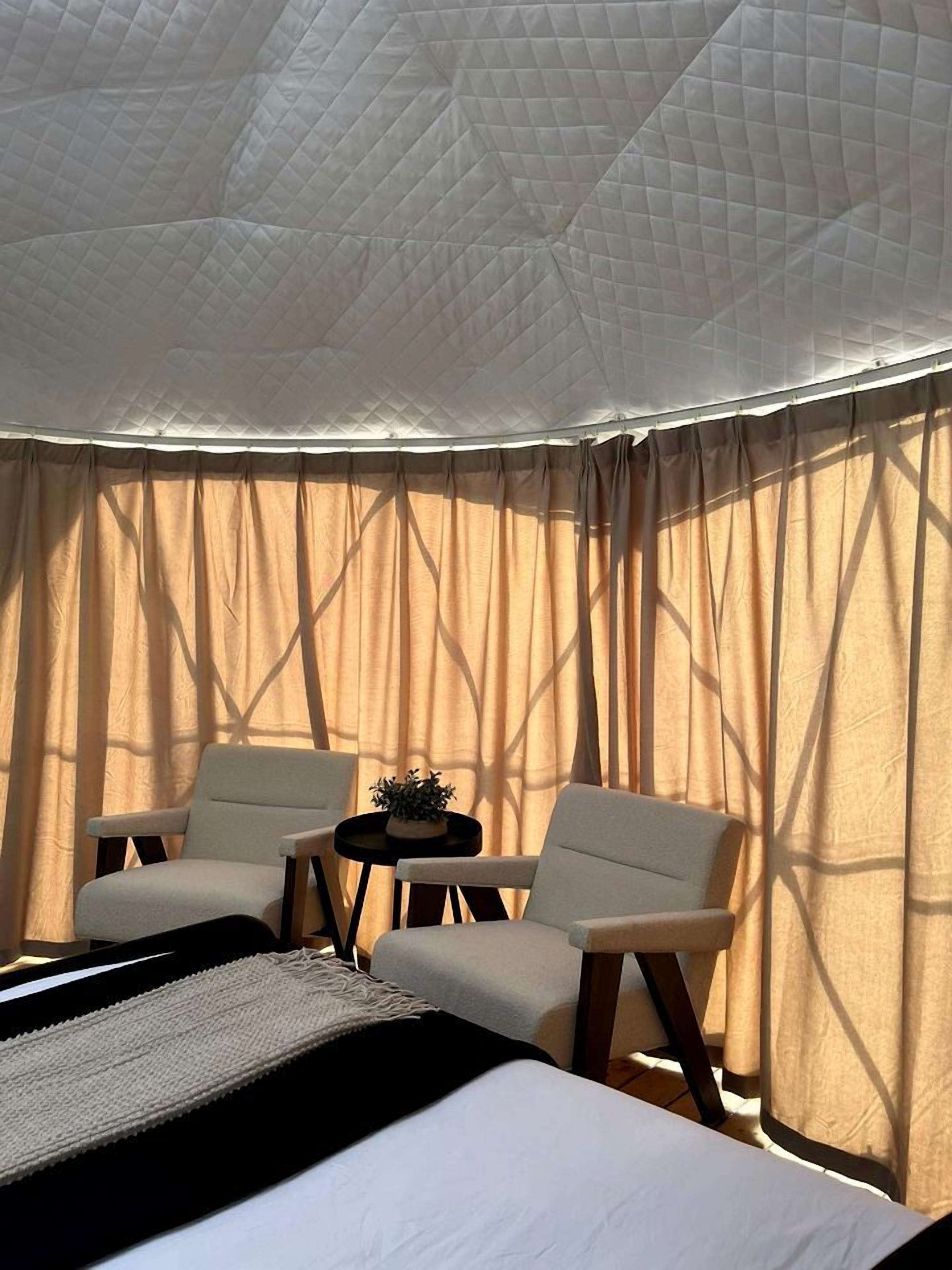 A room with a bed, two chairs, a small table with a plant, and sheer curtains.