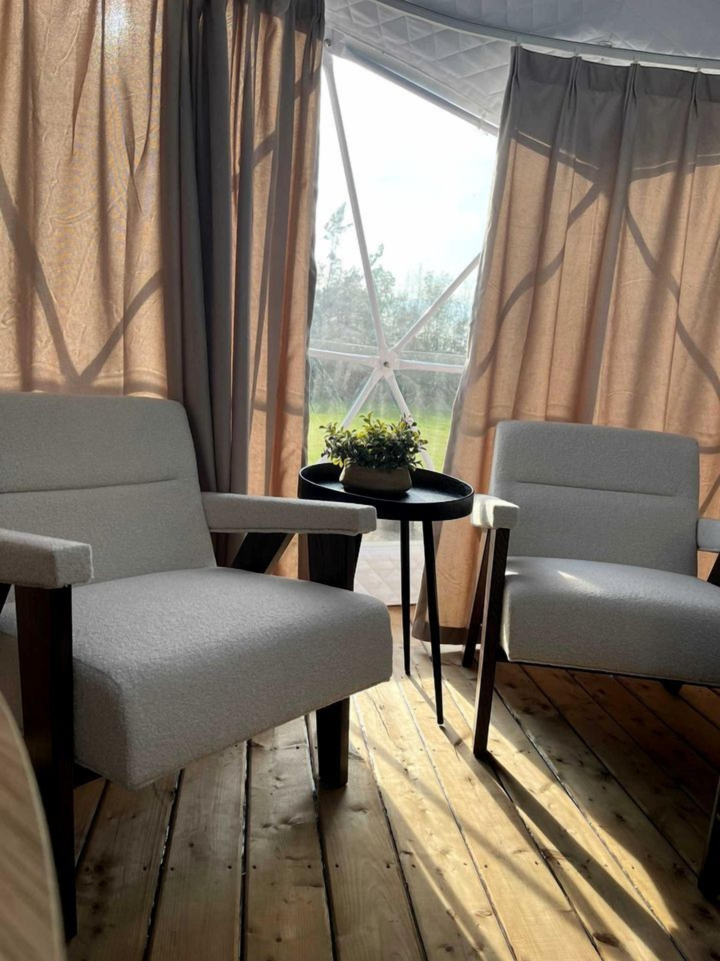 A room with two chairs, a small table, and a potted plant.