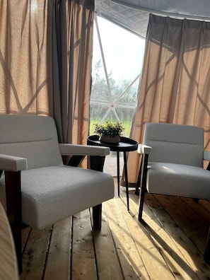 Une pièce avec deux chaises, une petite table et une plante en pot.