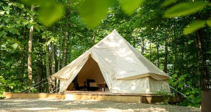 Tranquil Forest Oasis: Fabulous Bell Tent for Two near Tobermory, Canada