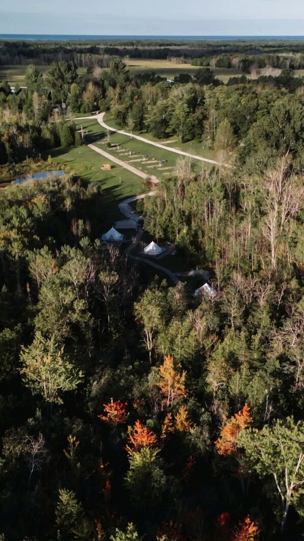 A forested area with a clear path leading to a building with a white roof.